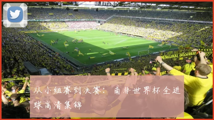 从小组赛到决赛:南非世界杯全进球高清集锦