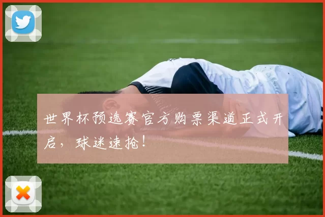 世界杯预选赛官方购票渠道正式开启,球迷速抢!