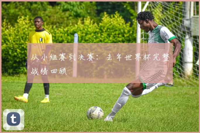 从小组赛到决赛:去年世界杯完整战绩回顾