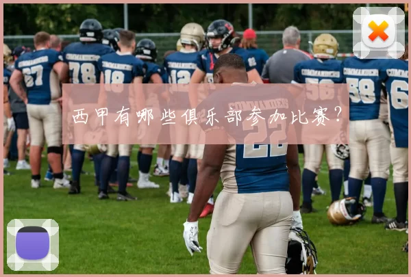 西甲有哪些俱乐部参加比赛？
