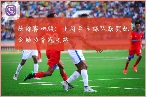 欧锦赛回顾：上海乒乓球队默契配合助力夺冠之路