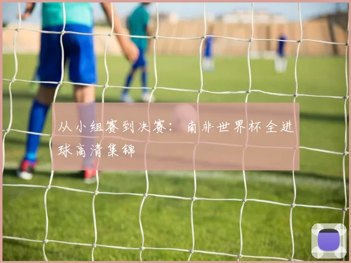 从小组赛到决赛:南非世界杯全进球高清集锦