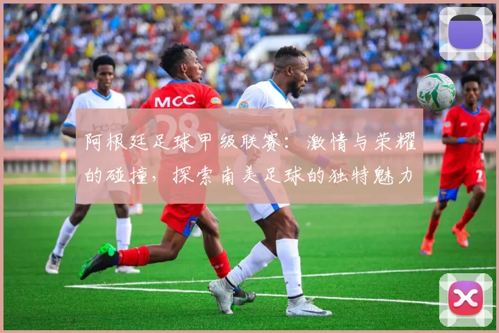 阿根廷足球甲级联赛：激情与荣耀的碰撞，探索南美足球的独特魅力