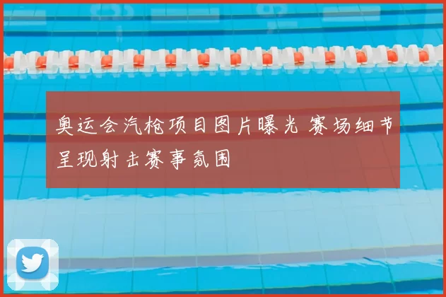 奥运会汽枪项目图片曝光 赛场细节呈现射击赛事氛围