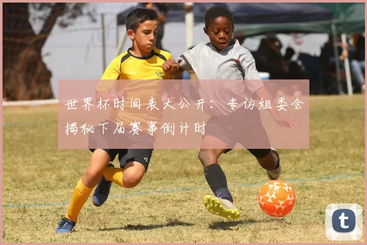 世界杯时间表大公开:专访组委会揭秘下届赛事倒计时