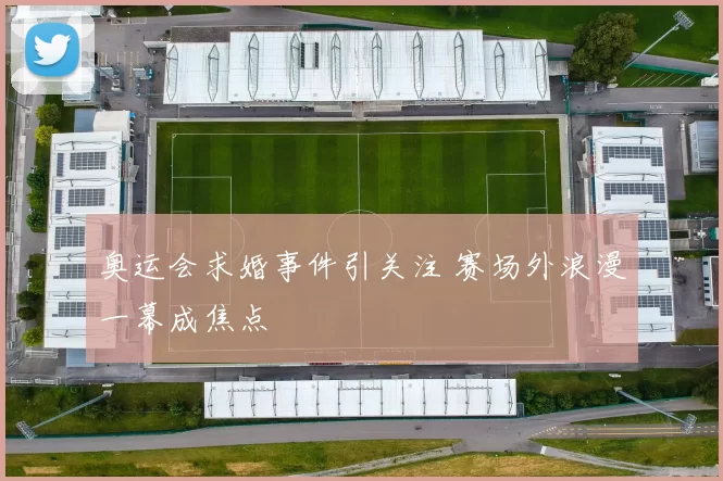 奥运会求婚事件引关注 赛场外浪漫一幕成焦点